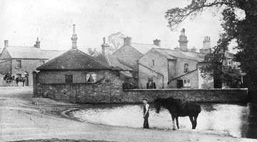 Clifton Pond about 1900